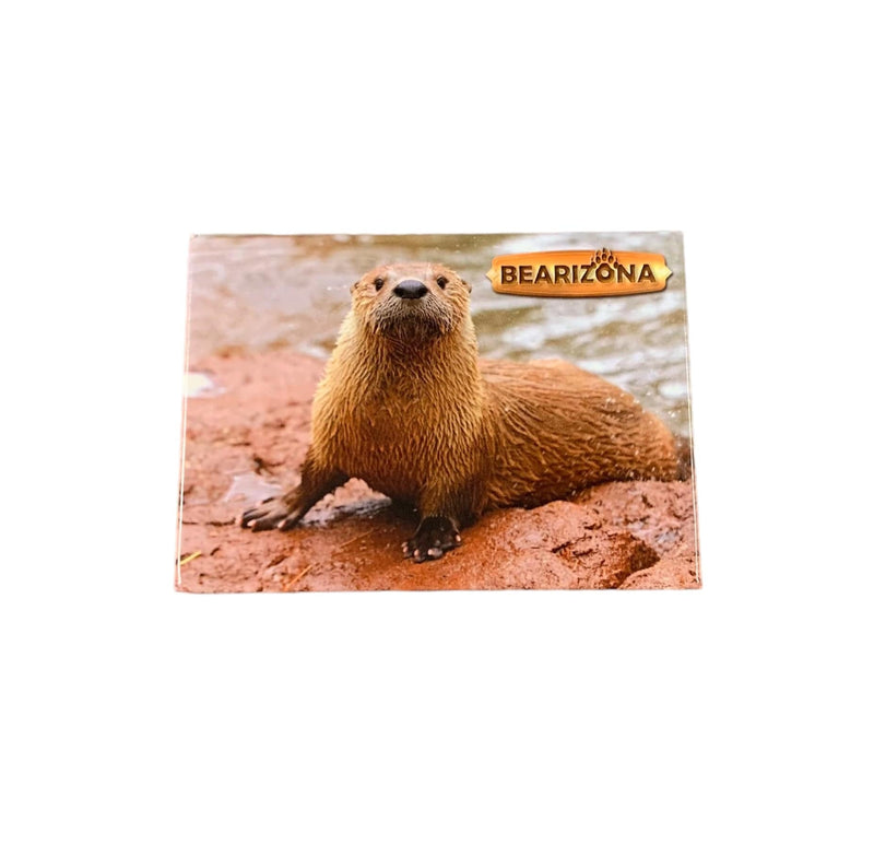 Bearizona Otter Magnet